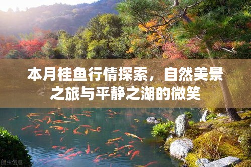 本月桂鱼行情探索，自然美景之旅与平静之湖的微笑