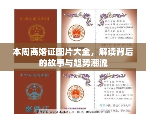 在线留言 第468页