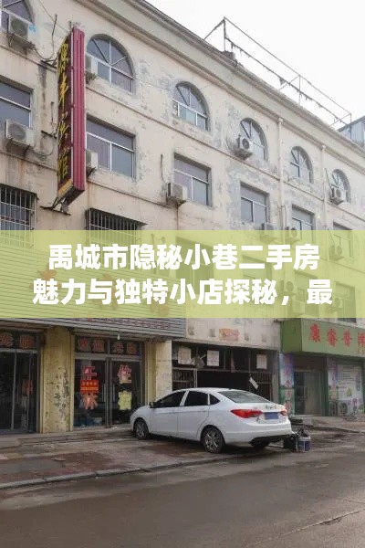 禹城市隐秘小巷二手房魅力与独特小店探秘，最新信息一览（往年11月12日）