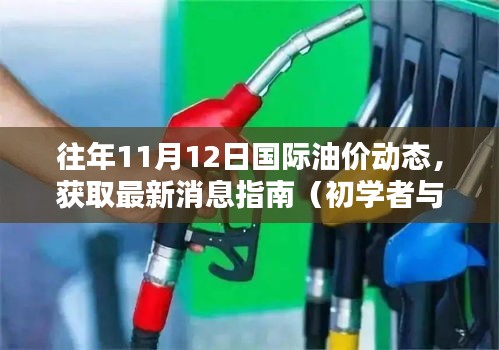 往年11月12日国际油价动态，获取最新消息指南（初学者与进阶用户必备）