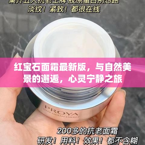 公司环境 第470页