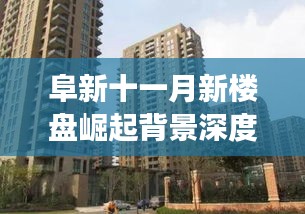 阜新十一月新楼盘崛起背景深度解析，最新楼盘与事件背后的地位探讨