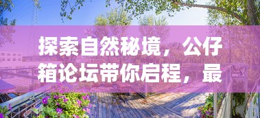 探索自然秘境，公仔箱论坛带你启程，最新入口开启心灵之旅