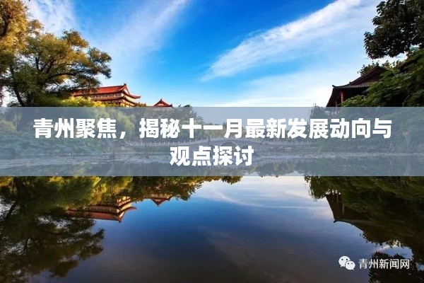 青州聚焦，揭秘十一月最新发展动向与观点探讨