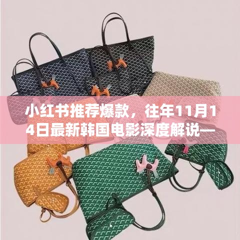 小红书推荐爆款，往年11月14日最新韩国电影深度解说——视觉盛宴不容错过！