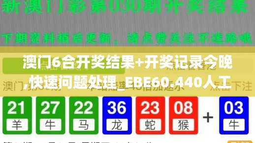 澳门6合开奖结果+开奖记录今晚,快速问题处理_EBE60.440人工智能版