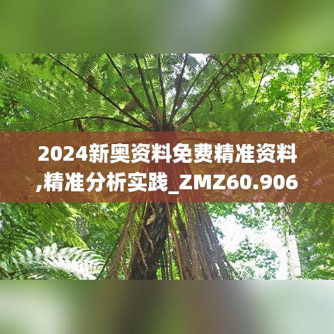 公司环境 第457页