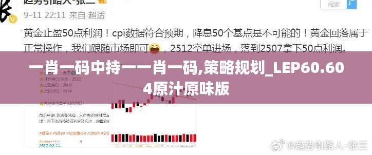 一肖一码中持一一肖一码,策略规划_LEP60.604原汁原味版