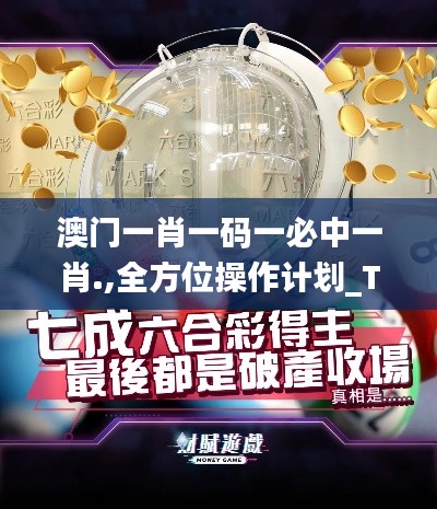 shencaifeiyang 第21页