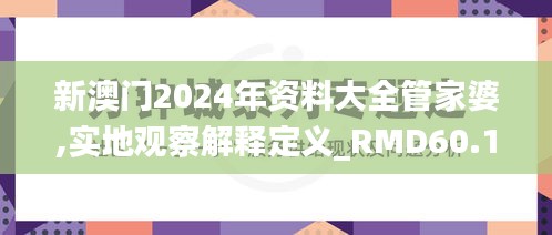 新澳门2024年资料大全管家婆,实地观察解释定义_RMD60.199图形版