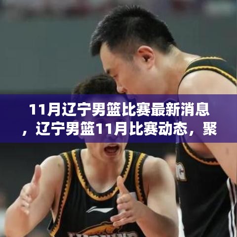 辽宁男篮11月比赛动态与热点解析，最新消息一览