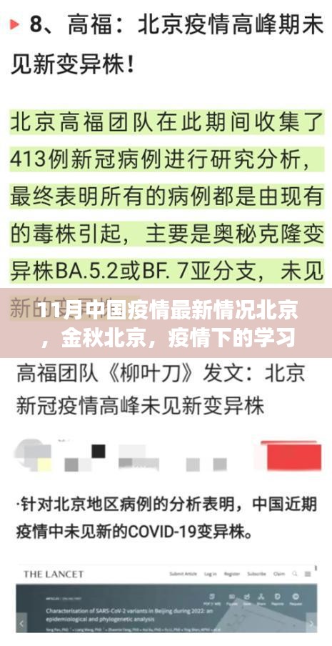 北京金秋疫情下的学习变革与自信之光（11月最新情况）