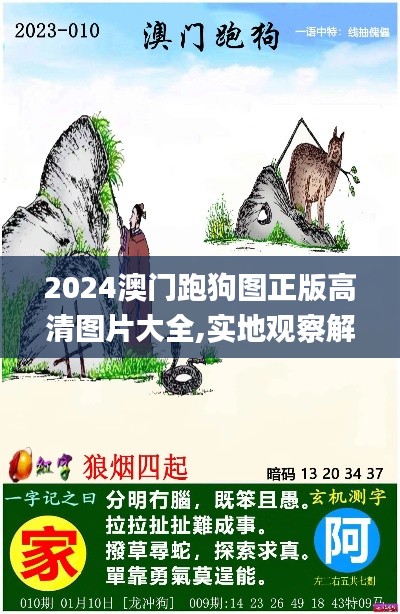 2024澳门跑狗图正版高清图片大全,实地观察解释定义_UZA60.674模块版