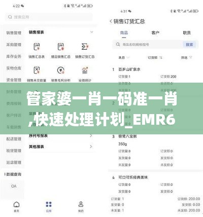 管家婆一肖一码准一肖,快速处理计划_EMR60.344家居版