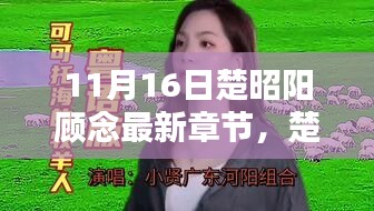 楚昭阳顾念深情揭秘，最新章节11月16日更新
