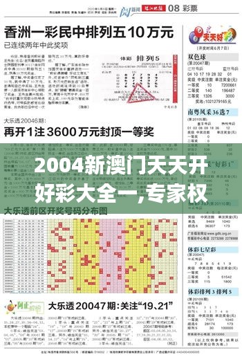 2004新澳门天天开好彩大全一,专家权威解答_FVM60.663结合版