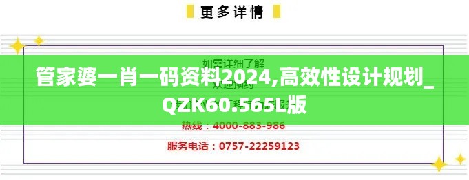 管家婆一肖一码资料2024,高效性设计规划_QZK60.565L版