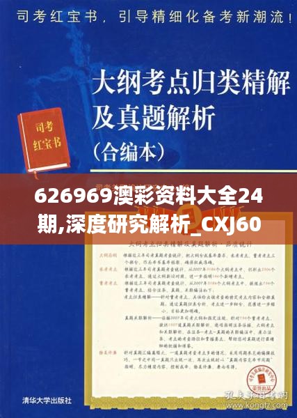 626969澳彩资料大全24期,深度研究解析_CXJ60.239计算机版