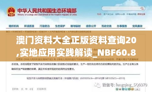 澳门资料大全正版资料查询20,实地应用实践解读_NBF60.830贴心版