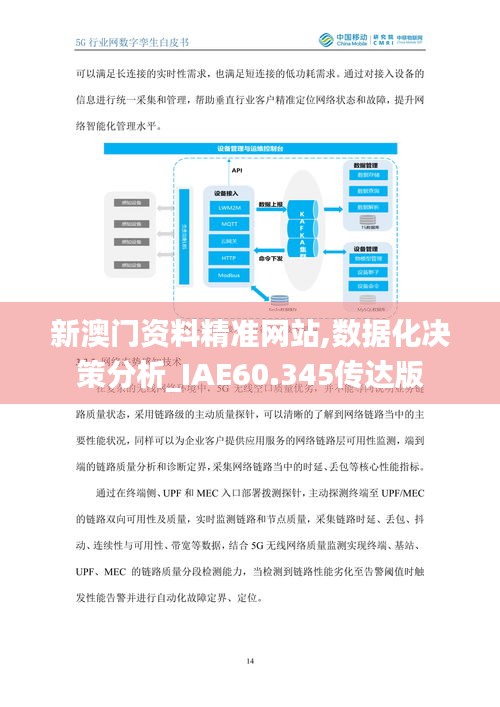 新澳门资料精准网站,数据化决策分析_IAE60.345传达版