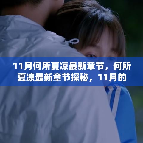 11月独特韵味下的何所夏凉最新章节探秘