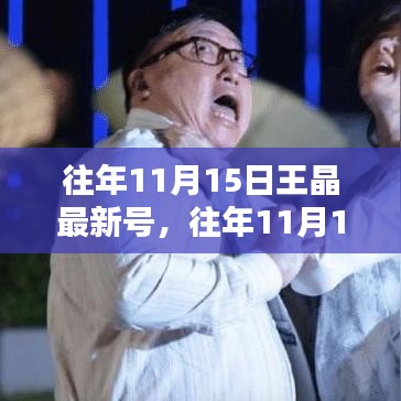 王晶最新号产品评测，特性、体验、竞品对比与用户群体深度分析