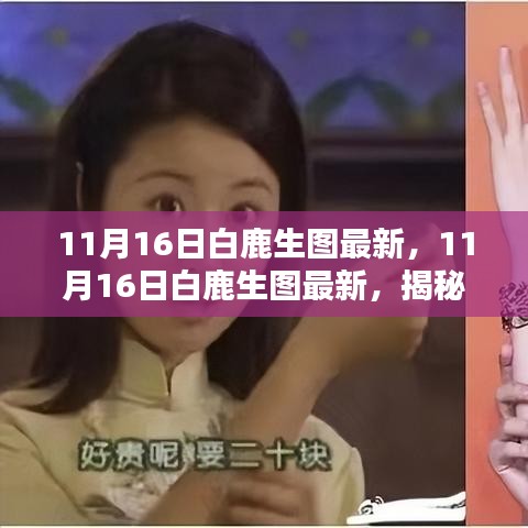 新闻资讯 第460页