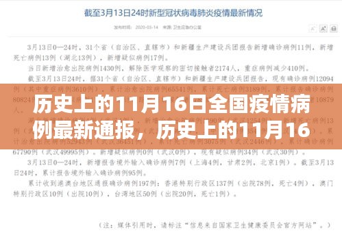 历史上的11月16日全国疫情病例最新通报，全面解析与理解疫情数据的步骤指南