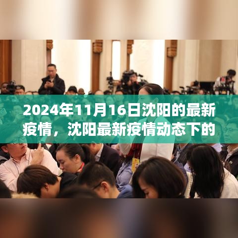 聚焦沈阳，最新疫情动态观察与思考（2024年11月16日）