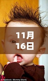 目不转睛 第23页