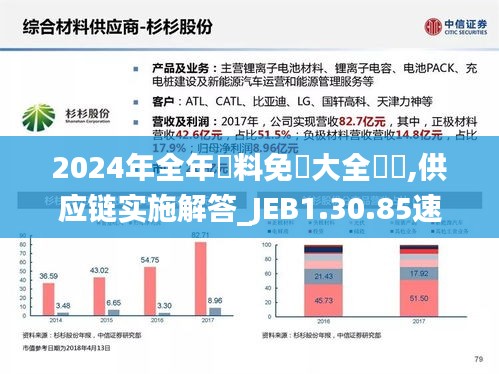 2024年全年資料免費大全優勢,供应链实施解答_JEB1.30.85速成版