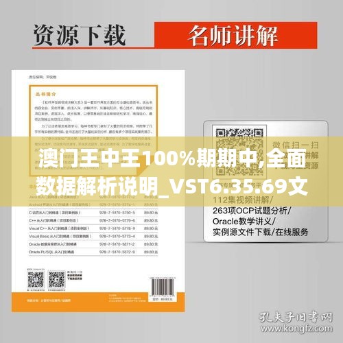澳门王中王100%期期中,全面数据解析说明_VST6.35.69文化传承版