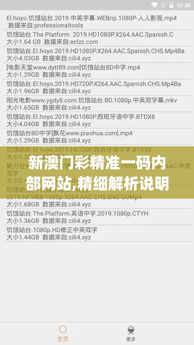 新澳门彩精准一码内部网站,精细解析说明_CDH9.61.96影视版