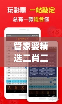 管家婆精选二肖二码,持久性方案解析_UPB4.38.21硬件版