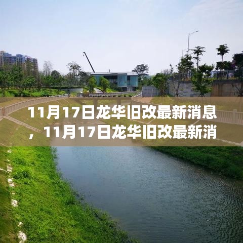 11月17日龙华旧改最新动态，蜕变中的自信与成就之路