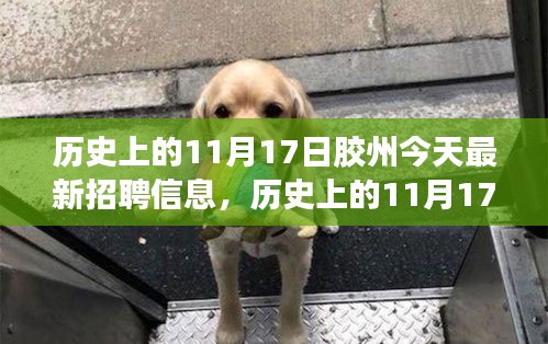 胶州历史探寻与最新招聘信息，自然美景之旅，重拾内心宁静与平和