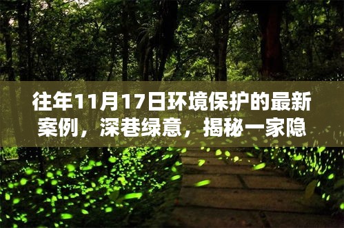 揭秘隐藏小巷的环保先锋特色小店，深巷绿意环保行动最新案例揭秘（往年11月17日）