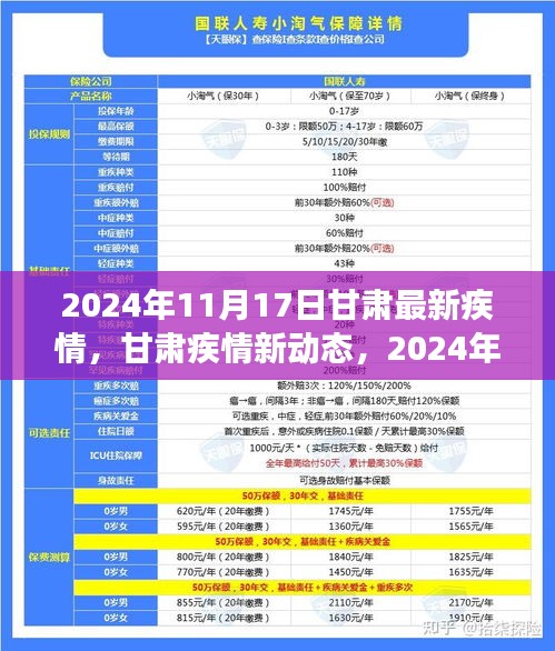 2024年11月17日甘肃疫情最新动态与深度观察