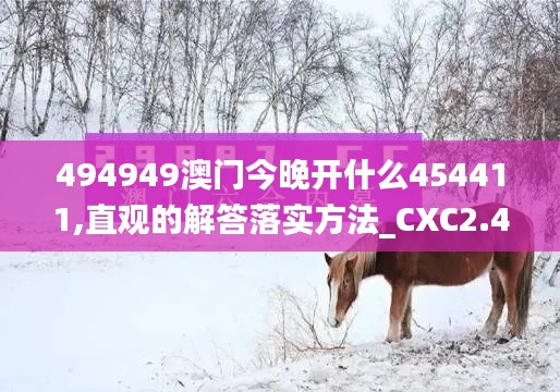 494949澳门今晚开什么454411,直观的解答落实方法_CXC2.41.66时刻版