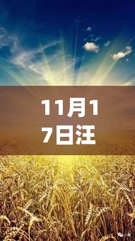 汪希玥秋日暖阳下的温馨日常与欢乐时光（最新照片）