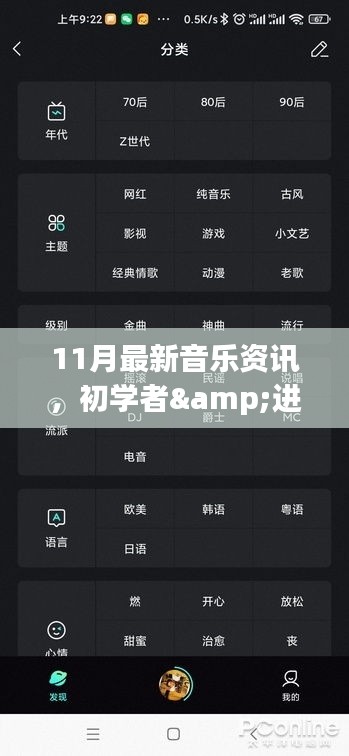 11月音乐资讯全攻略，初学者与进阶者的必备指南