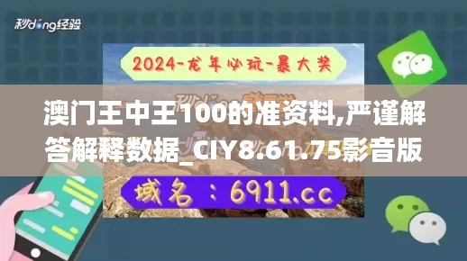 澳门王中王100的准资料,严谨解答解释数据_CIY8.61.75影音版