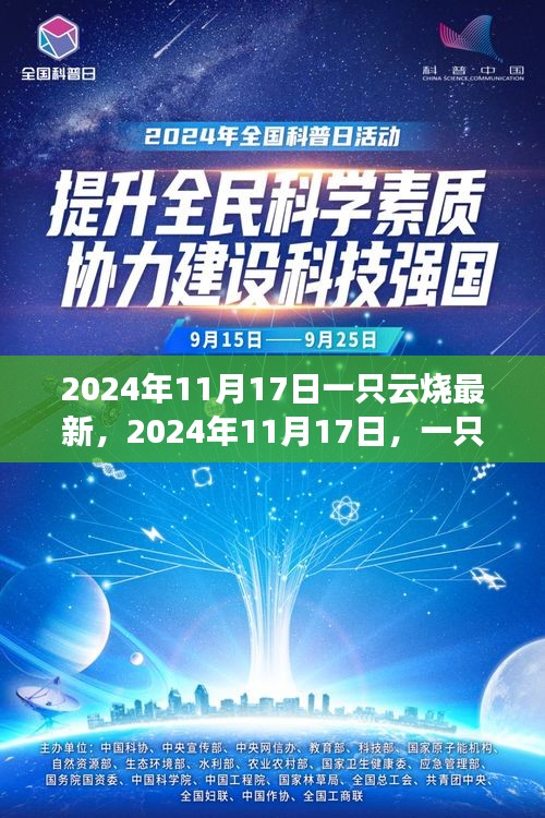 一只云烧的科技创新之旅，探索未来科技前沿的启示（2024年11月17日最新）