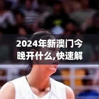 2024年新澳门今晚开什么,快速解答执行方案_WCR9.63.40网络版
