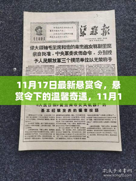 11月17日悬赏令下的温馨奇遇与特别篇章