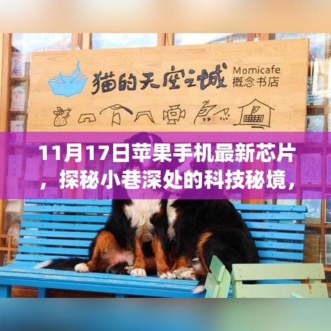 初告白 第19页