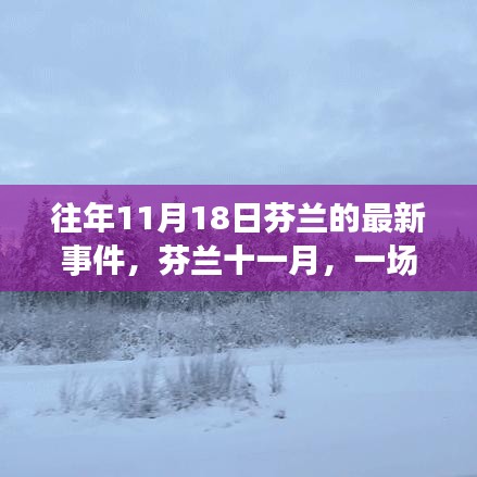 芬兰十一月，自然美景之旅，追寻内心平静的治愈之旅（最新事件回顾）