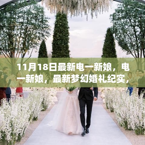 11月18日最新电一新娘，电一新娘，最新梦幻婚礼纪实，11月18日的甜蜜瞬间
