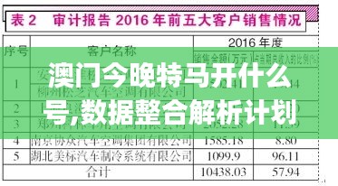 澳门今晚特马开什么号,数据整合解析计划_HFP9.37.80中级版