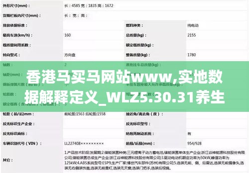 香港马买马网站www,实地数据解释定义_WLZ5.30.31养生版